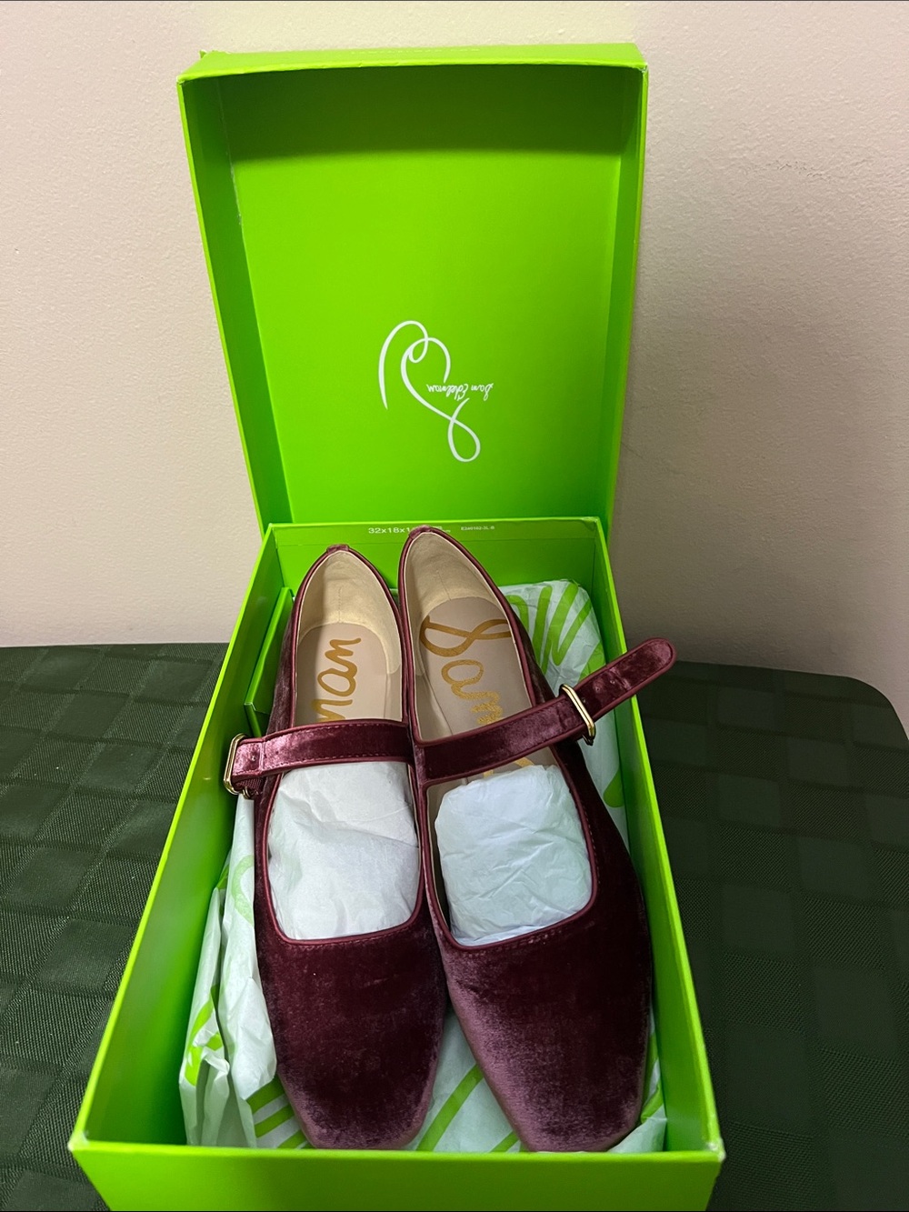 NWOT Sam Edelman Velvet Mary Jane Flats in Plum